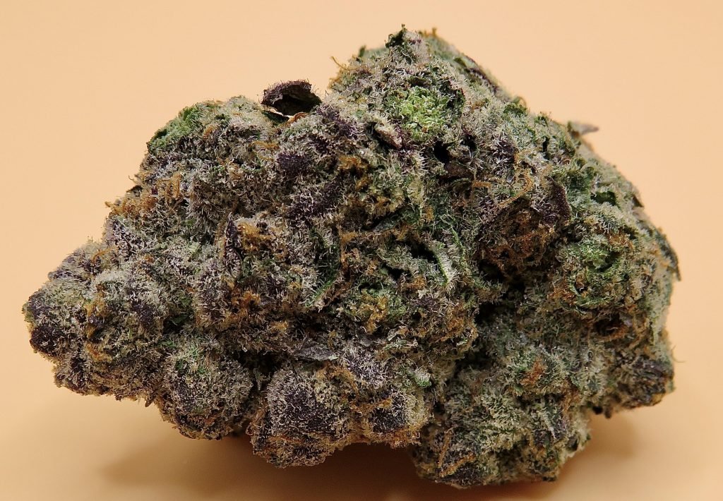 Cookies: The Cannabis Strain Everyone’s Talking About!